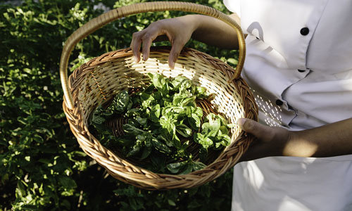 A basket of spinach 